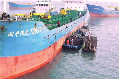 首批鮑魚南下“越冬”